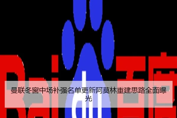 曼联冬窗中场补强名单更新阿莫林重建思路全面曝光